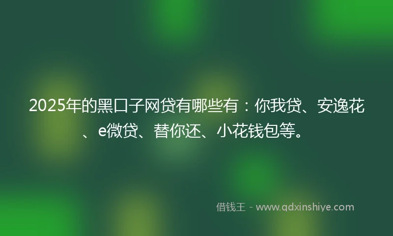 2025年的黑口子网贷有哪些有：你我贷、安逸花、e微贷、替你还、小花钱包等。