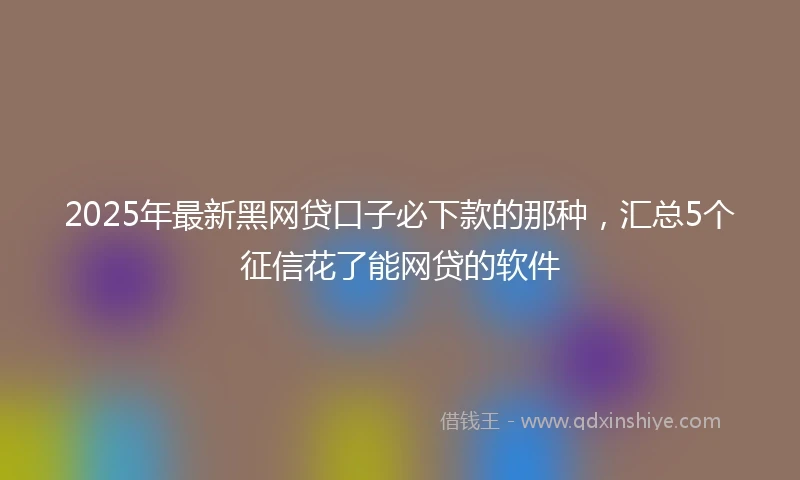 2025年最新黑网贷口子必下款的那种，汇总5个征信花了能网贷的软件