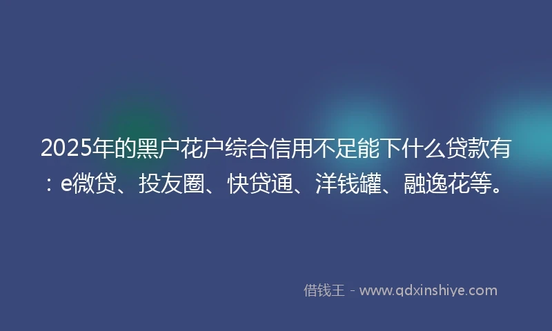 2025年的黑户花户综合信用不足能下什么贷款有：e微贷、投友圈、快贷通、洋钱罐、融逸花等。