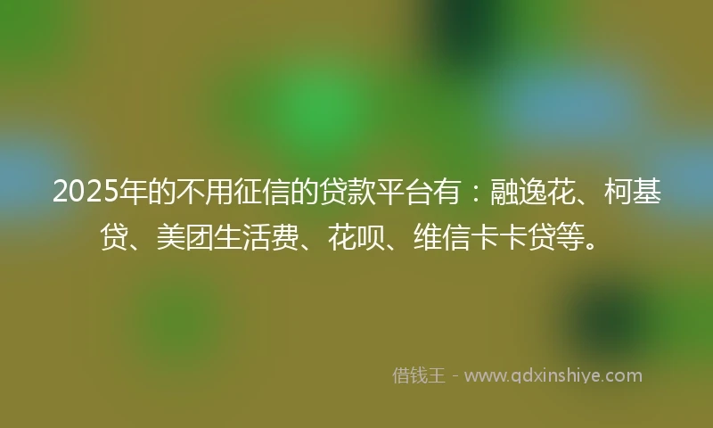 2025年的不用征信的贷款平台有:融逸花、柯基贷、美团生活费、花呗、维信卡卡贷等。