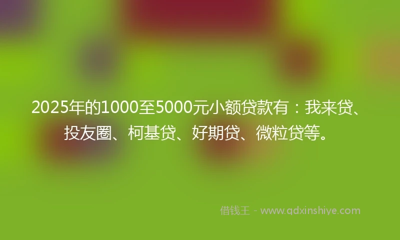 2025年的1000至5000元小额贷款有：我来贷、投友圈、柯基贷、好期贷、微粒贷等。