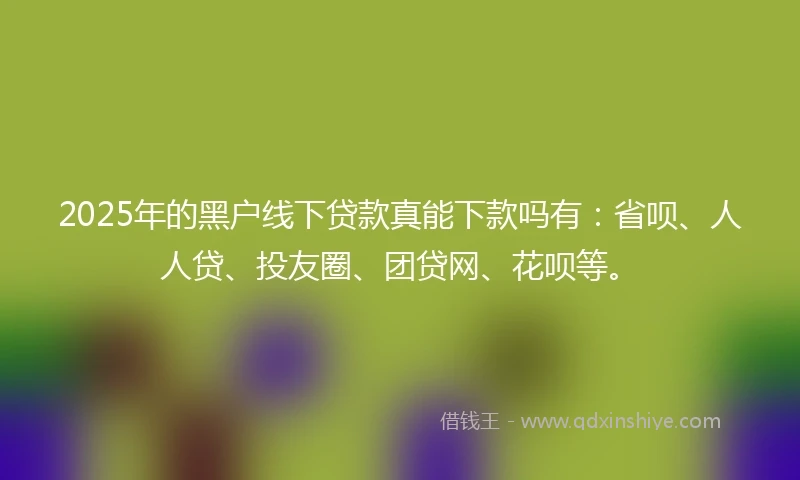 2025年的黑户线下贷款真能下款吗有：省呗、人人贷、投友圈、团贷网、花呗等。
