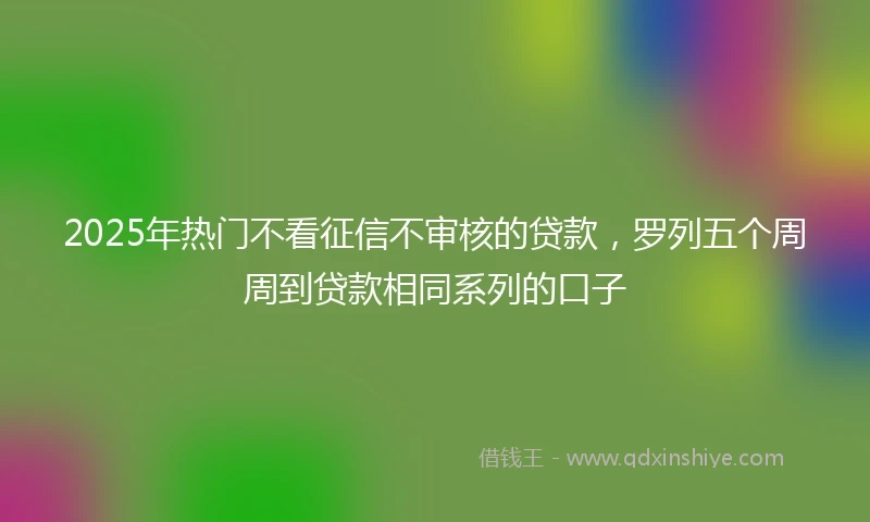 2025年热门不看征信不审核的贷款,罗列五个周周到贷款相同系列的口子