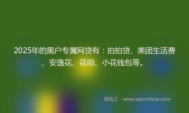 2025年的黑户专属网贷有：拍拍贷、美团生活费、安逸花、花呗、小花钱包等。