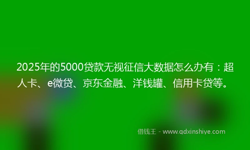2025年的5000贷款无视征信大数据怎么办有：超人卡、e微贷、京东金融、洋钱罐、信用卡贷等。