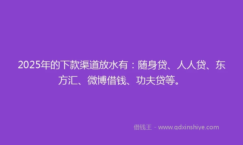 2025年的下款渠道放水有：随身贷、人人贷、东方汇、微博借钱、功夫贷等。