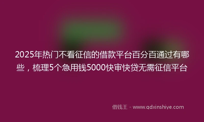 2025年热门不看征信的借款平台百分百通过有哪些，梳理5个急用钱5000快审快贷无需征信平台