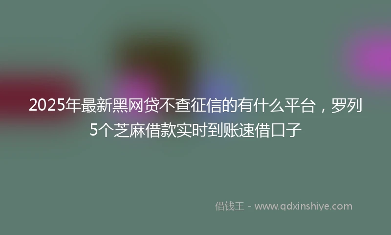 2025年最新黑网贷不查征信的有什么平台,罗列5个芝麻借款实时到账速借口子