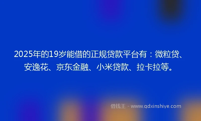 2025年的19岁能借的正规贷款平台有：微粒贷、安逸花、京东金融、小米贷款、拉卡拉等。