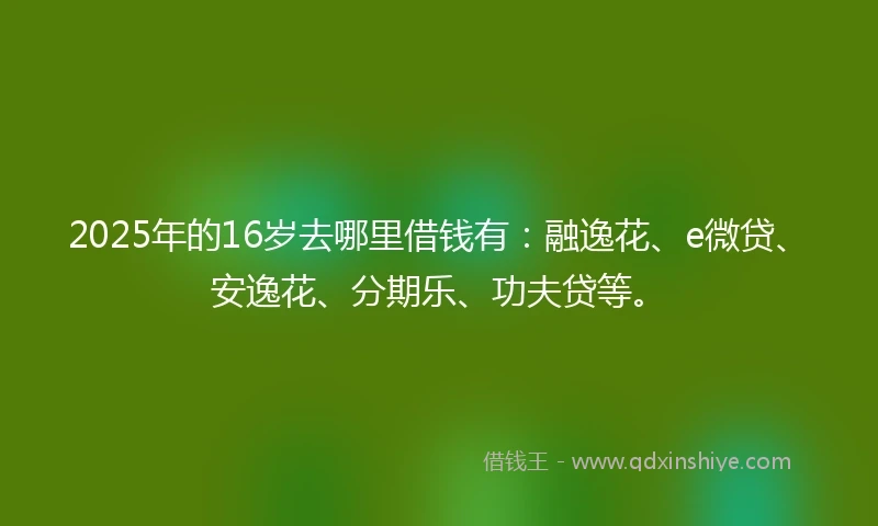 2025年的16岁去哪里借钱有：融逸花、e微贷、安逸花、分期乐、功夫贷等。