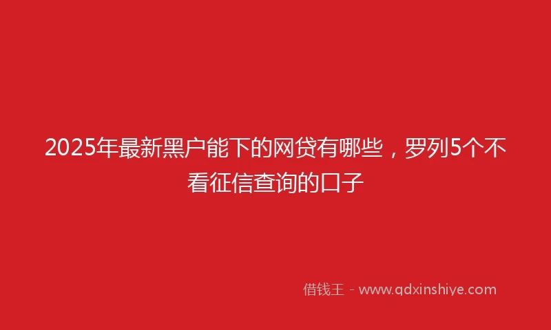 2025年最新黑户能下的网贷有哪些，罗列5个不看征信查询的口子