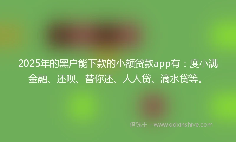 2025年的黑户能下款的小额贷款app有：度小满金融、还呗、替你还、人人贷、滴水贷等。