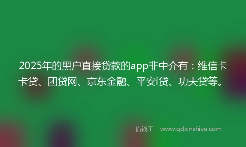 2025年的黑户直接贷款的app非中介有：维信卡卡贷、团贷网、京东金融、平安i贷、功夫贷等。