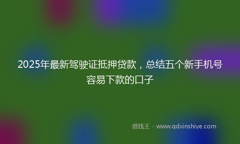 2025年最新驾驶证抵押贷款，总结五个新手机号容易下款的口子