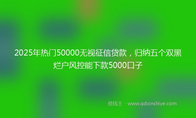 2025年热门50000无视征信贷款，归纳五个双黑烂户风控能下款5000口子