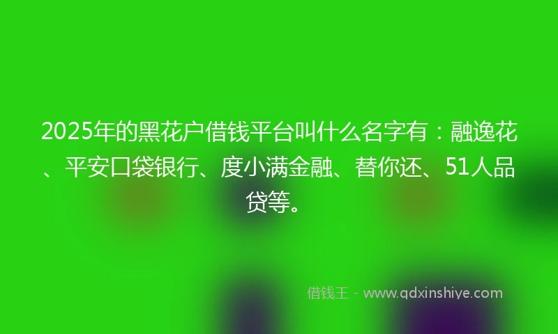 2025年的黑花户借钱平台叫什么名字有：融逸花、平安口袋银行、度小满金融、替你还、51人品贷等。