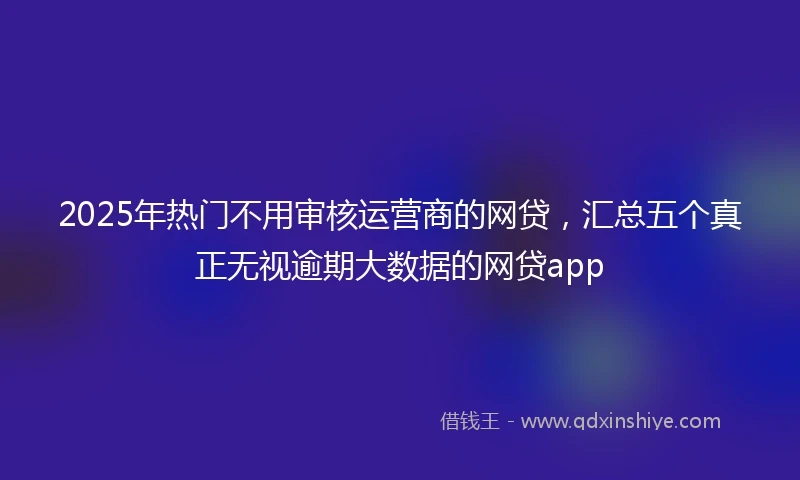 2025年热门不用审核运营商的网贷，汇总五个真正无视逾期大数据的网贷app