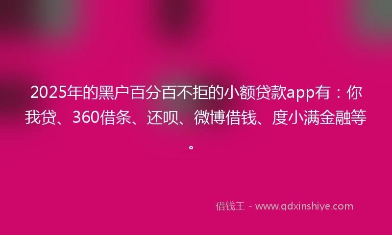 2025年的黑户百分百不拒的小额贷款app有：你我贷、360借条、还呗、微博借钱、度小满金融等。