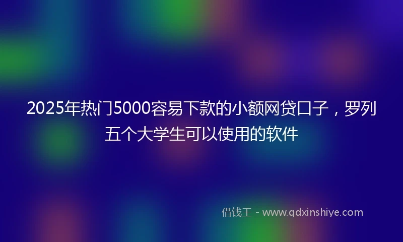2025年热门5000容易下款的小额网贷口子，罗列五个大学生可以使用的软件