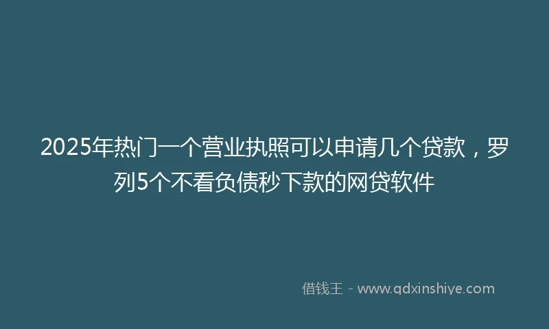2025年热门一个营业执照可以申请几个贷款，罗列5个不看负债秒下款的网贷软件
