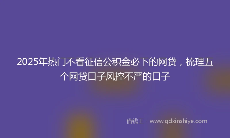 2025年热门不看征信公积金必下的网贷,梳理五个网贷口子风控不严的口子