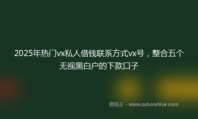 2025年热门vx私人借钱联系方式vx号,整合五个无视黑白户的下款口子