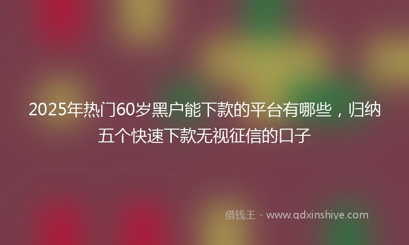 2025年热门60岁黑户能下款的平台有哪些,归纳五个快速下款无视征信的口子