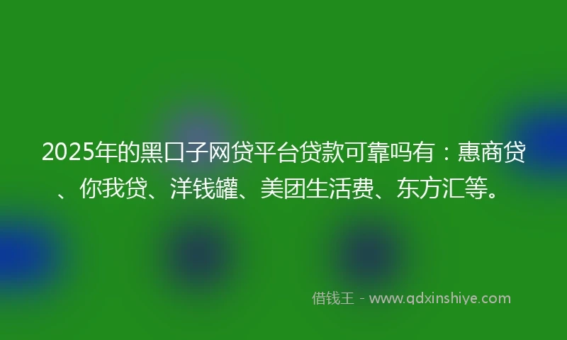 2025年的黑口子网贷平台贷款可靠吗有：惠商贷、你我贷、洋钱罐、美团生活费、东方汇等。