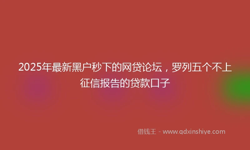 2025年最新黑户秒下的网贷论坛，罗列五个不上征信报告的贷款口子
