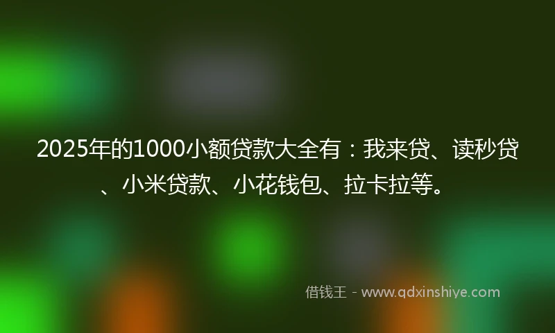 2025年的1000小额贷款大全有：我来贷、读秒贷、小米贷款、小花钱包、拉卡拉等。