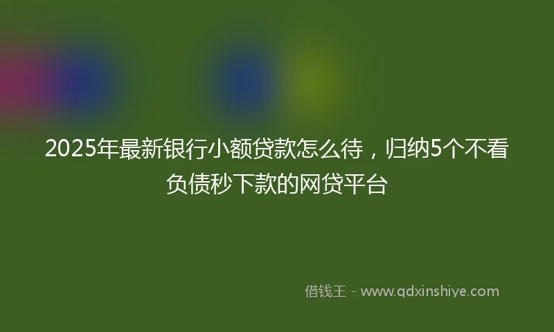 2025年最新银行小额贷款怎么待，归纳5个不看负债秒下款的网贷平台