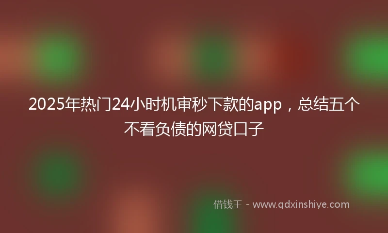 2025年热门24小时机审秒下款的app，总结五个不看负债的网贷口子