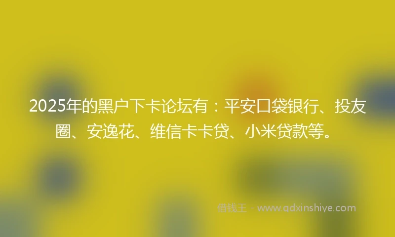 2025年的黑户下卡论坛有：平安口袋银行、投友圈、安逸花、维信卡卡贷、小米贷款等。
