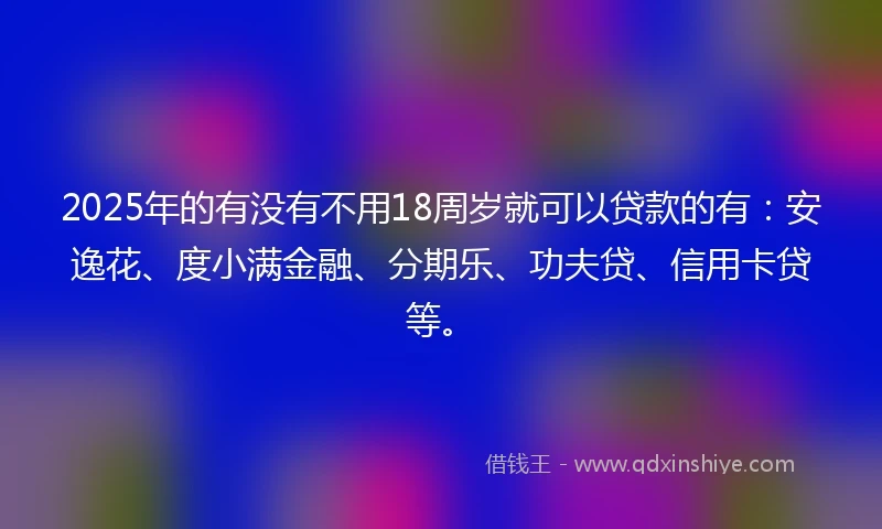 2025年的有没有不用18周岁就可以贷款的有：安逸花、度小满金融、分期乐、功夫贷、信用卡贷等。
