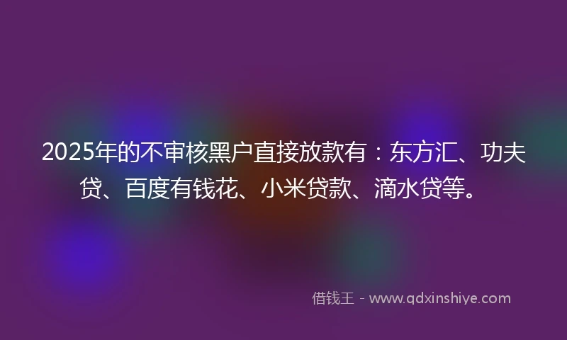 2025年的不审核黑户直接放款有：东方汇、功夫贷、百度有钱花、小米贷款、滴水贷等。