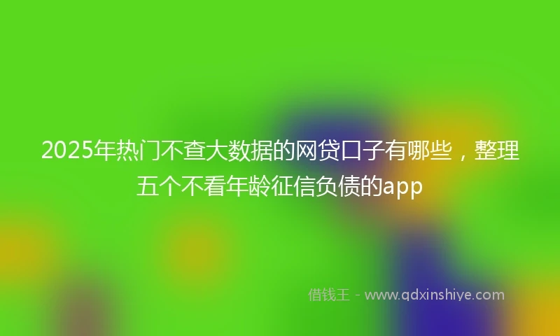 2025年热门不查大数据的网贷口子有哪些,整理五个不看年龄征信负债的app