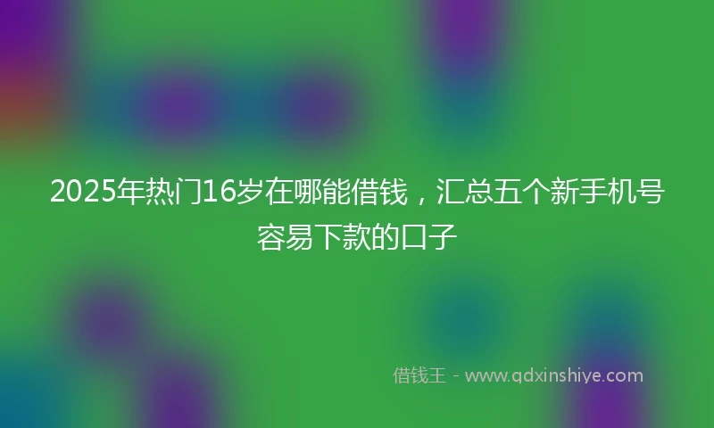 2025年热门16岁在哪能借钱，汇总五个新手机号容易下款的口子