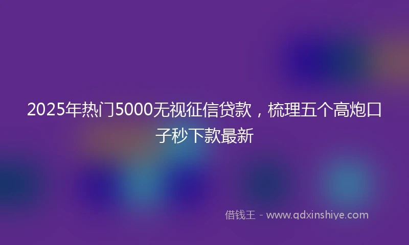 2025年热门5000无视征信贷款,梳理五个高炮口子秒下款最新
