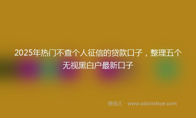 2025年热门不查个人征信的贷款口子，整理五个无视黑白户最新口子