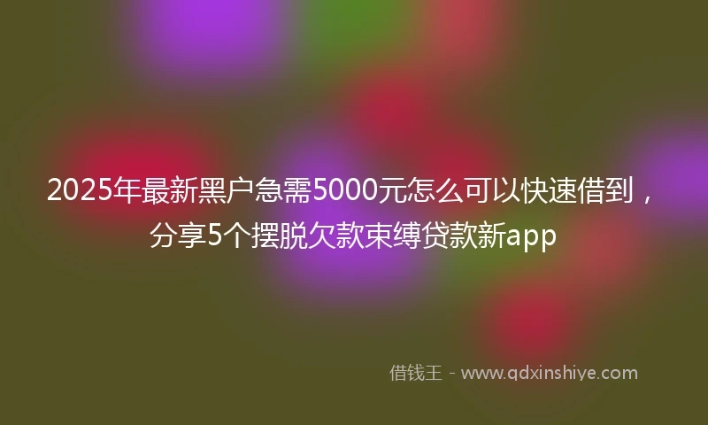2025年最新黑户急需5000元怎么可以快速借到，分享5个摆脱欠款束缚贷款新app