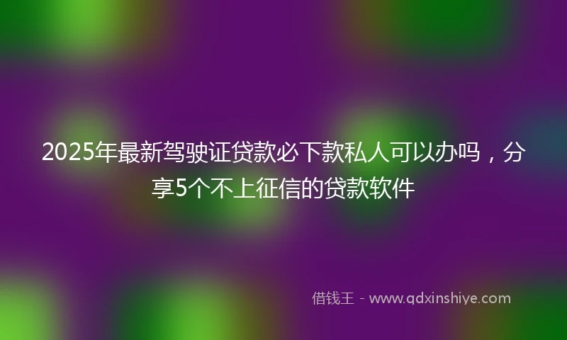 2025年最新驾驶证贷款必下款私人可以办吗，分享5个不上征信的贷款软件