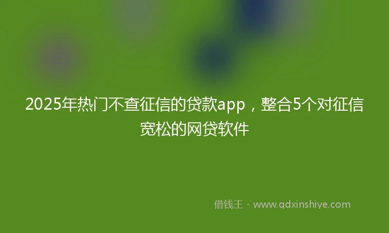2025年热门不查征信的贷款app,整合5个对征信宽松的网贷软件