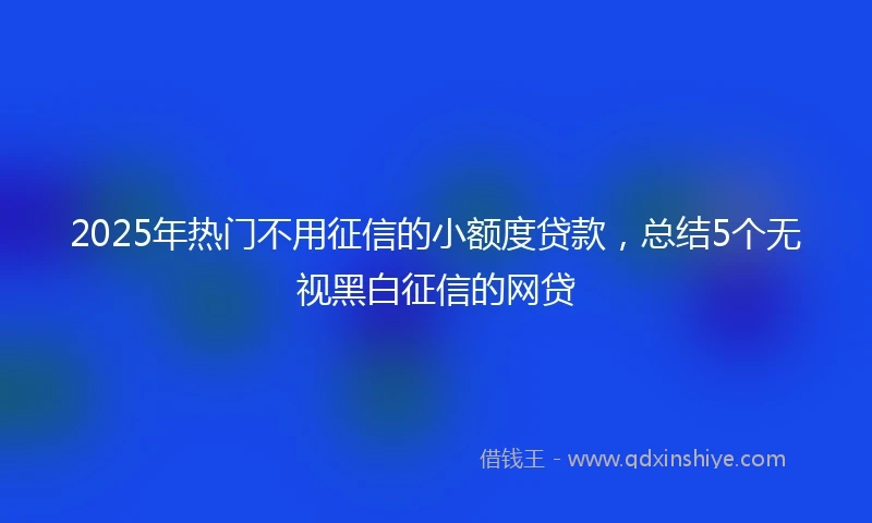 2025年热门不用征信的小额度贷款，总结5个无视黑白征信的网贷