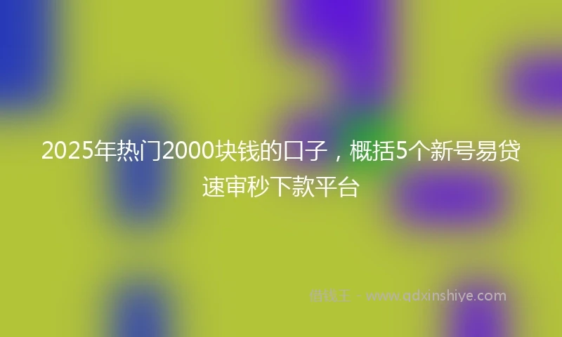 2025年热门2000块钱的口子，概括5个新号易贷速审秒下款平台