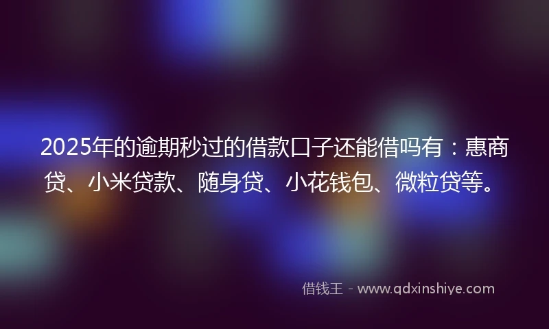 2025年的逾期秒过的借款口子还能借吗有：惠商贷、小米贷款、随身贷、小花钱包、微粒贷等。