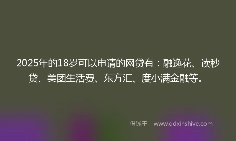 2025年的18岁可以申请的网贷有：融逸花、读秒贷、美团生活费、东方汇、度小满金融等。