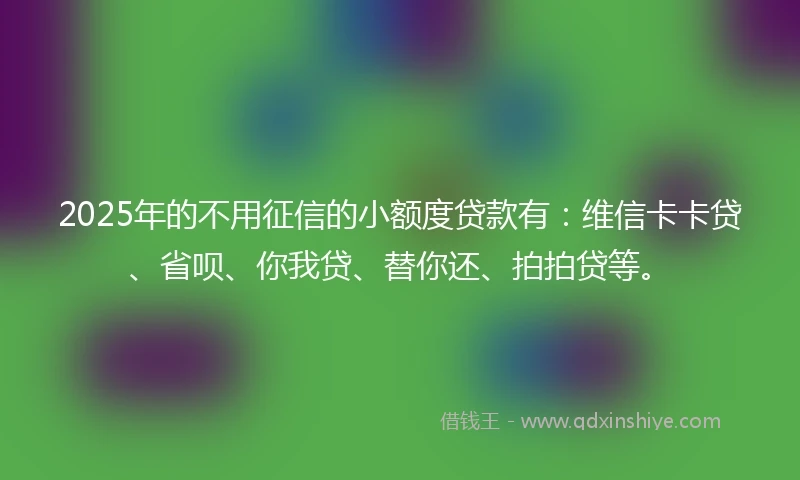 2025年的不用征信的小额度贷款有：维信卡卡贷、省呗、你我贷、替你还、拍拍贷等。