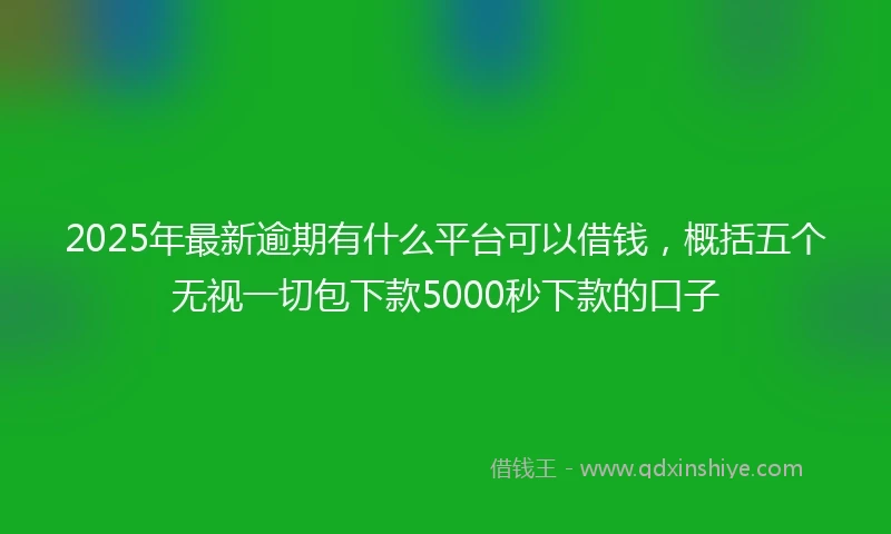 2025年最新逾期有什么平台可以借钱,概括五个无视一切包下款5000秒下款的口子