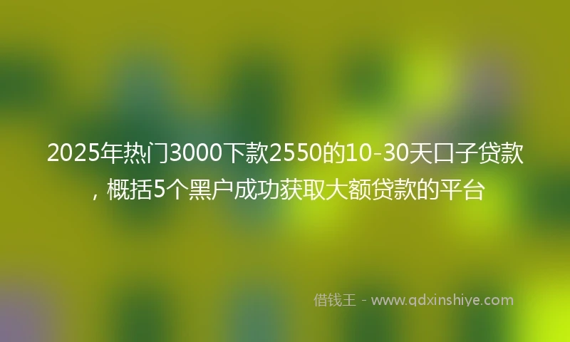 2025年热门3000下款2550的10-30天口子贷款,概括5个黑户成功获取大额贷款的平台
