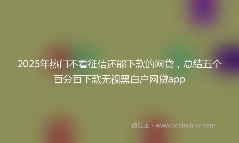 2025年热门不看征信还能下款的网贷,总结五个百分百下款无视黑白户网贷app